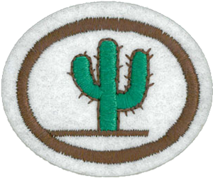 Cacti