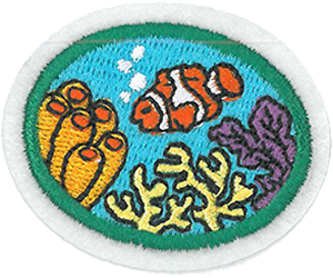 Coral Reefs