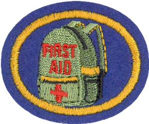 Disaster Ministry
