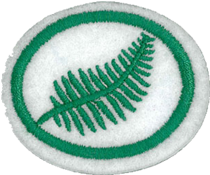 Ferns