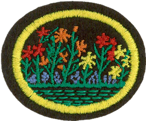Flower Culture