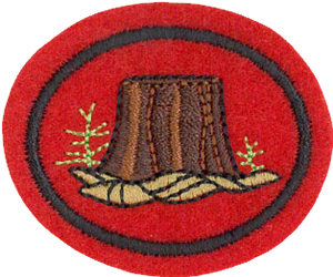 Forestry