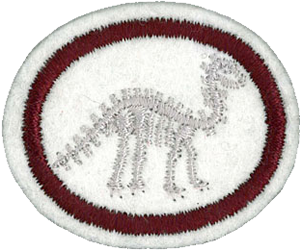 Fossils