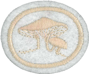 Fungi