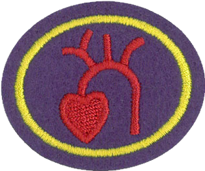 Heart and Circulation