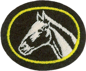 Horse Husbandry