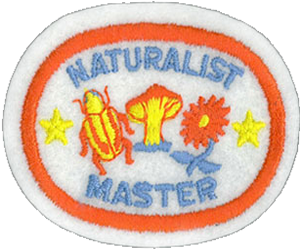Naturalist Master
