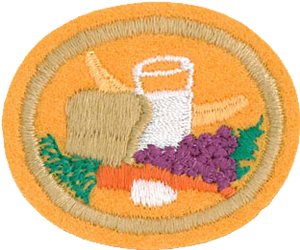 Nutrition