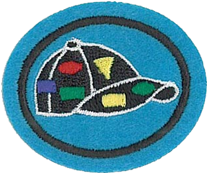 Pin Trading