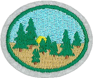 Taiga