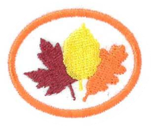 Temperate Deciduous Forests