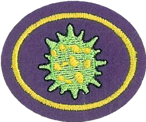 Viruses