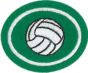 Volleyball