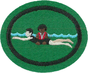 Water Safety Instructor