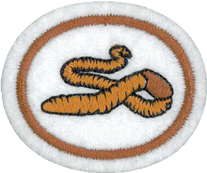 Worms